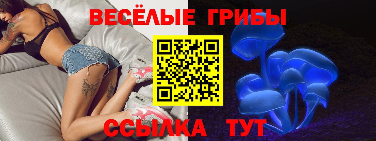 Галлюциногенные грибы мицелий Старая Купавна
